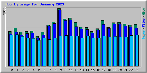 Hourly usage for January 2023