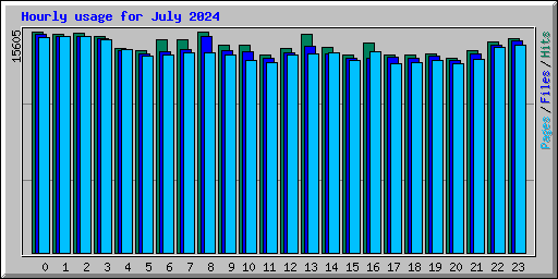 Hourly usage for July 2024