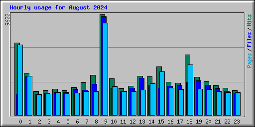 Hourly usage for August 2024