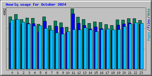 Hourly usage for October 2024