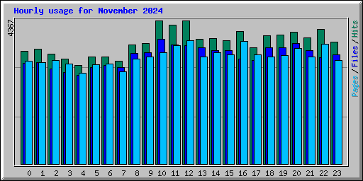 Hourly usage for November 2024